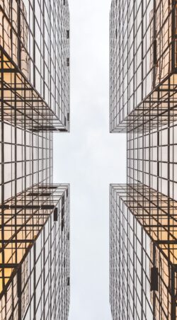 alex-wong-l5Tzv1alcps-unsplash